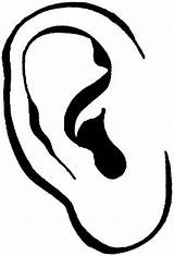 Coloring Ear Template sketch template