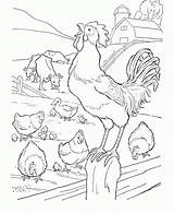 Gallos Bauernhof Ausmalbilder Rooster sketch template