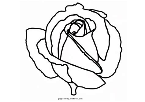 printable pictures  roses coloring home