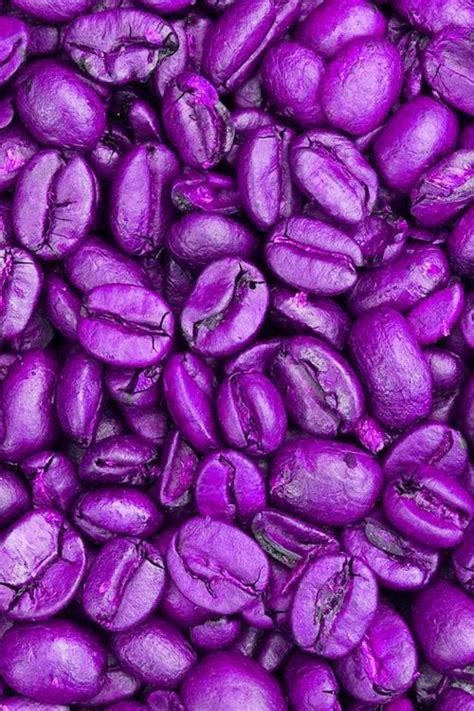purple coffee beans coffee pinterest