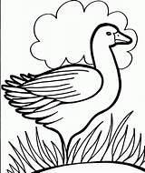 Coloring Pages Colouring Kids Duck Print Color Drawing Printable Online Duckling Dippy Bird Pre School 321coloringpages Activity Getdrawings Animal Use sketch template