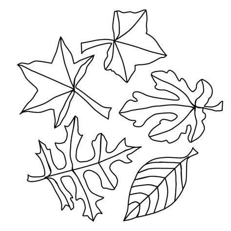 fall leaves printable coloring pages printable word searches