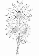 Girasole Girasoli Kolorowanka Druku Wazon Stampare Szablon Kolorowanki Dzieci Pobarvanke Sunflowers Adulti sketch template