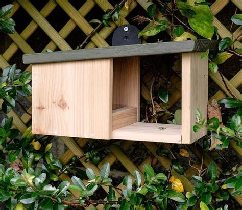 wooden robin nesting box fuglehus fuglehuse redekasser