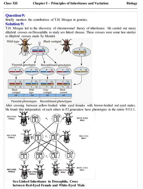 Ncert Solutions For Class 12 Biology Chapter 5 Principles Of