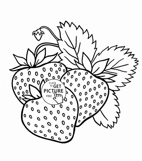 strawberry coloring page  thiva hellas