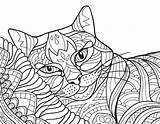 Colorit Wildcats Cats sketch template