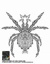 Arachnid Coloring 68kb 1275 sketch template