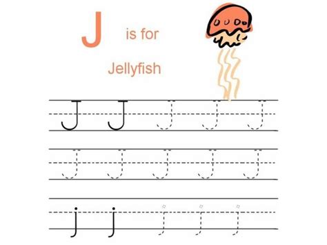 jellyfish worksheet  pre   grade lesson planet
