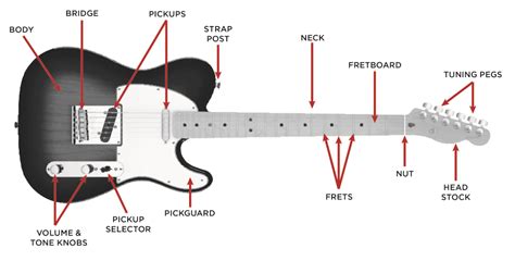 electric guitar buyers guide