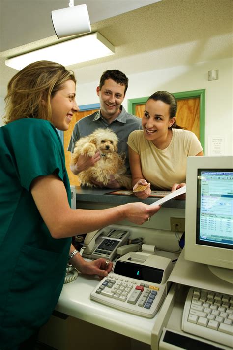 veterinary assistants are in demand sprott shaw college