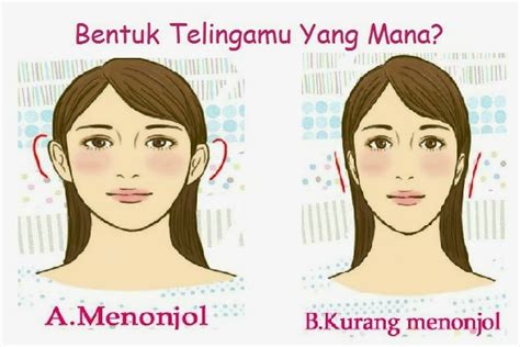 Membaca Kepribadian Seseorang Dari Bentuk Telinga