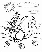 Baby Pages Squirrel Coloring Getcolorings Beautiful sketch template