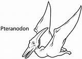 Coloring Dinosaurs Pages Flying Pteranodon Pterodactyl Drawing Clipart Drawings Printable Getdrawings Popular Coloringhome Comments sketch template