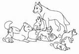 Wolf Loup Wolves Coloriage Lobo Animaux Coloriages Babies Roxanne Colorier Coloring Modeste Coloringhome Colornimbus sketch template
