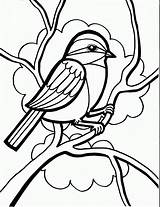 Coloring Bird Pages Downloadable Freely 321coloringpages Via sketch template