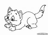 Kitten Coloring Template Pages Cute Cat Templates Clipartmag Shape sketch template