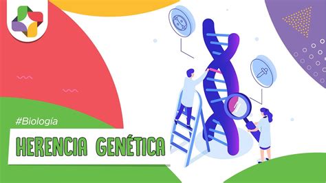 Herencia Genética Biología Educatina Youtube