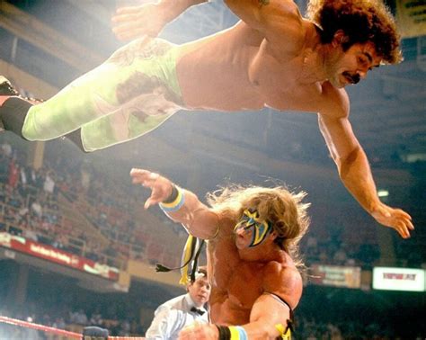 36 best wrestling entertainment images on pinterest