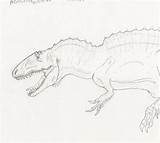 Acrocanthosaurus Atokensis sketch template