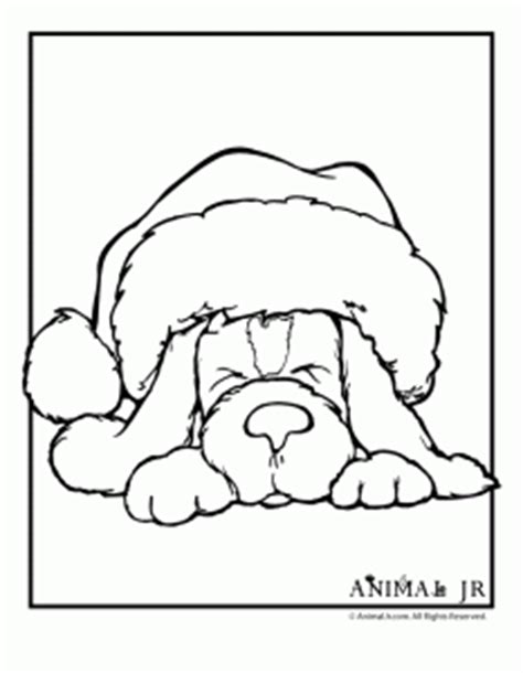 ultimate collection  christmas coloring pages woo jr kids