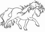 Horse Miniature Coloring Pages Getcolorings Pony sketch template