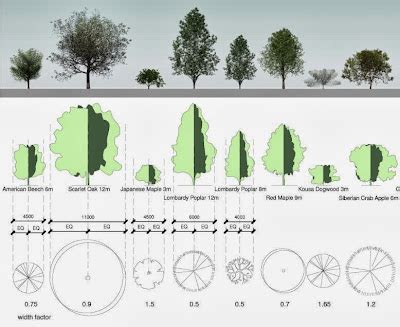 shades  grey trees  instance