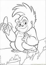 Monkey Coloring Book Rainforest Pages Colouring Library Clipart Jungle Tropical Animal Drawings sketch template