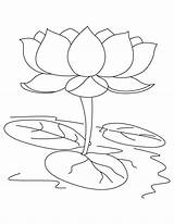 Lotus Coloring Flower Pages Sacred Drawing Color Clipart Colouring Sheet Kids Sketch Printable Template Getdrawings Hindu Print Getcolorings Library Popular sketch template