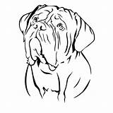 Dog Mastiff French Coloring Bordeaux Dogue Drawing Line Drawings Para Silhouette Embroidery Designs Dibujos Myla sketch template
