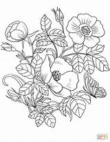 Coloring Flowers Pages Spring Printable Drawing sketch template
