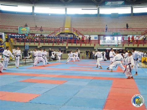 Abertura Do Campeonato Sulamericano De Karate Askaja Associação De