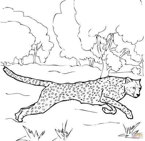 cheetah girl coloring pages gallery cheetah drawing superhero