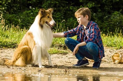neuer „lassie“ film eine deutschland odyssee