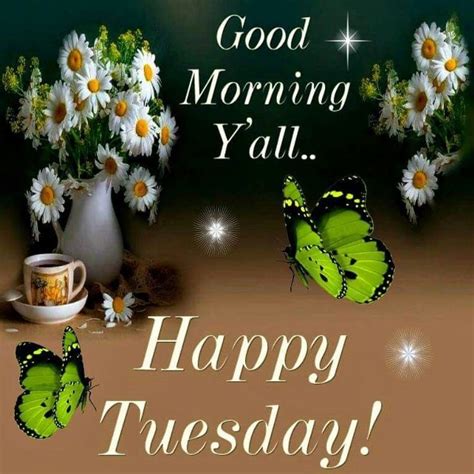 Good Morning Y All Happy Tuesday Pictures Photos And
