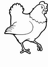 Hen Coloring Pages Farm Animal Chicken Kids Color Kid Getcolorings Printable Getdrawings Clipartmag Drawing sketch template