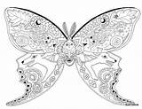 Coloring Moth Pages Sue Coccia Printable Luna Butterfly Blank Adults Google Getcolorings Adult Pattern Malen Color раскраски Mandala Colouring животными sketch template