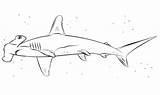 Shark Hammerhead Coloring Pages Printable Sharks Hai Kids Ocean Drawing sketch template
