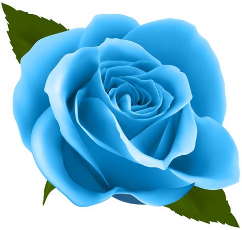 blue rose clipart   cliparts  images  clipground