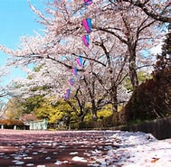 佐野桜 に対する画像結果.サイズ: 189 x 185。ソース: www.city.sano.lg.jp
