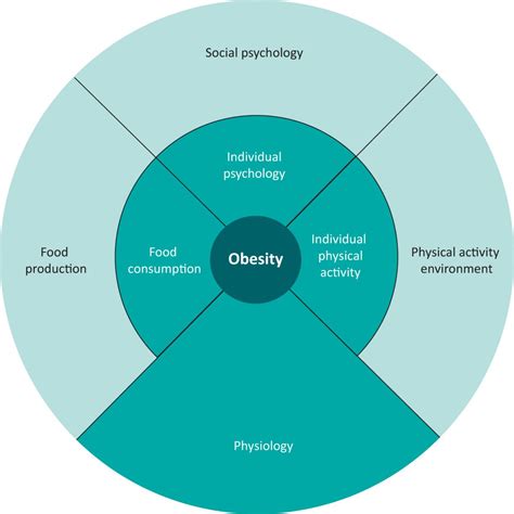 managing obesity in people with type 2 diabetes rcp journals