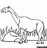 Mammals Basilosaurus Prehistoric sketch template