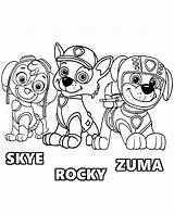 Paw Patrol Zuma Coloring Rocky Skye Print Pups sketch template