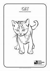 Coloring Pages Cool Cat Mammals Animals Print Kids sketch template