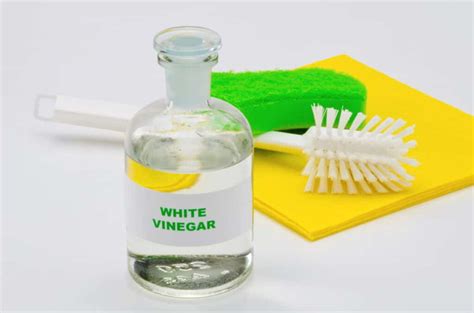 clean  shower  vinegar love  real life