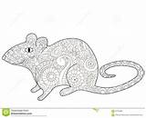 Rat Coloring Adults Book Adult Vector Zentangle Illustration Preview sketch template