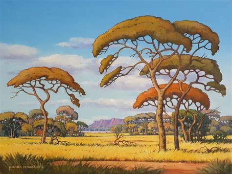 pin  africa sky gallery artist hannes van der walt