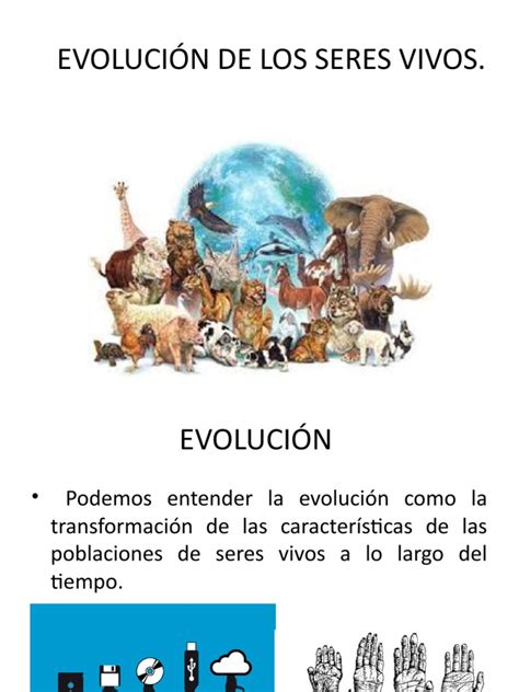 Evolución De Los Seres Vivos Seleccion Natural Evolución