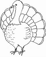 Turkey Coloring Thanksgiving Easy Pages Sheets Printables sketch template