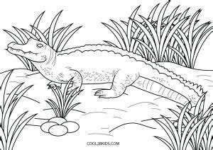 printable animal coloring pages  kids coolbkids